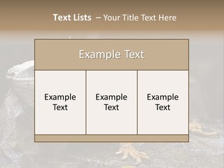 Amazing Profile Tree PowerPoint Template