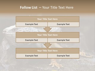 Amazing Profile Tree PowerPoint Template