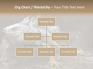 Amazing Profile Tree PowerPoint Template