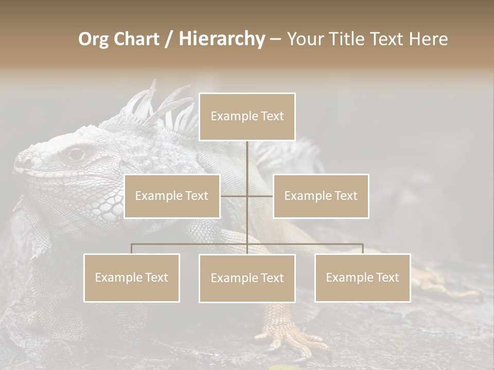 Amazing Profile Tree PowerPoint Template