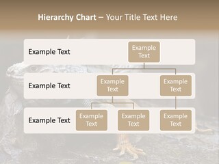 Amazing Profile Tree PowerPoint Template