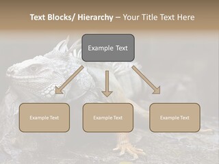 Amazing Profile Tree PowerPoint Template