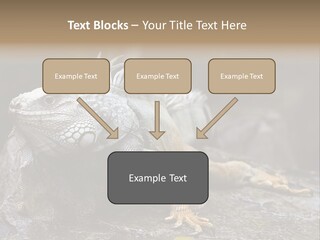 Amazing Profile Tree PowerPoint Template