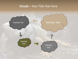 Amazing Profile Tree PowerPoint Template