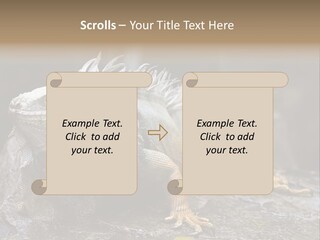 Amazing Profile Tree PowerPoint Template
