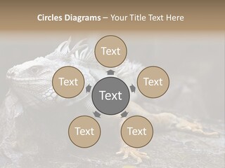 Amazing Profile Tree PowerPoint Template