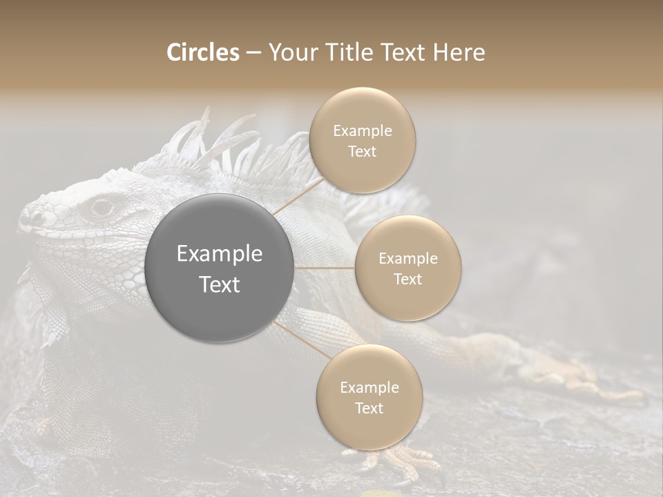 Amazing Profile Tree PowerPoint Template