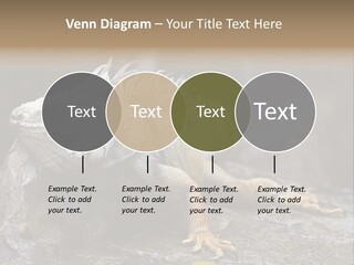 Amazing Profile Tree PowerPoint Template
