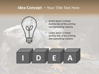 Amazing Profile Tree PowerPoint Template
