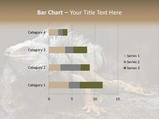 Amazing Profile Tree PowerPoint Template