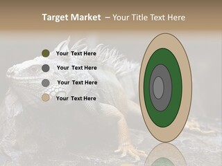 Amazing Profile Tree PowerPoint Template