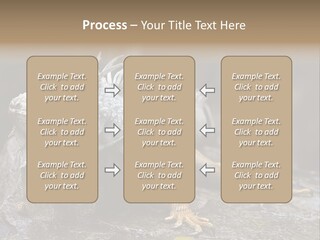 Amazing Profile Tree PowerPoint Template