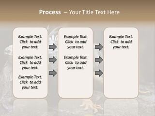 Amazing Profile Tree PowerPoint Template