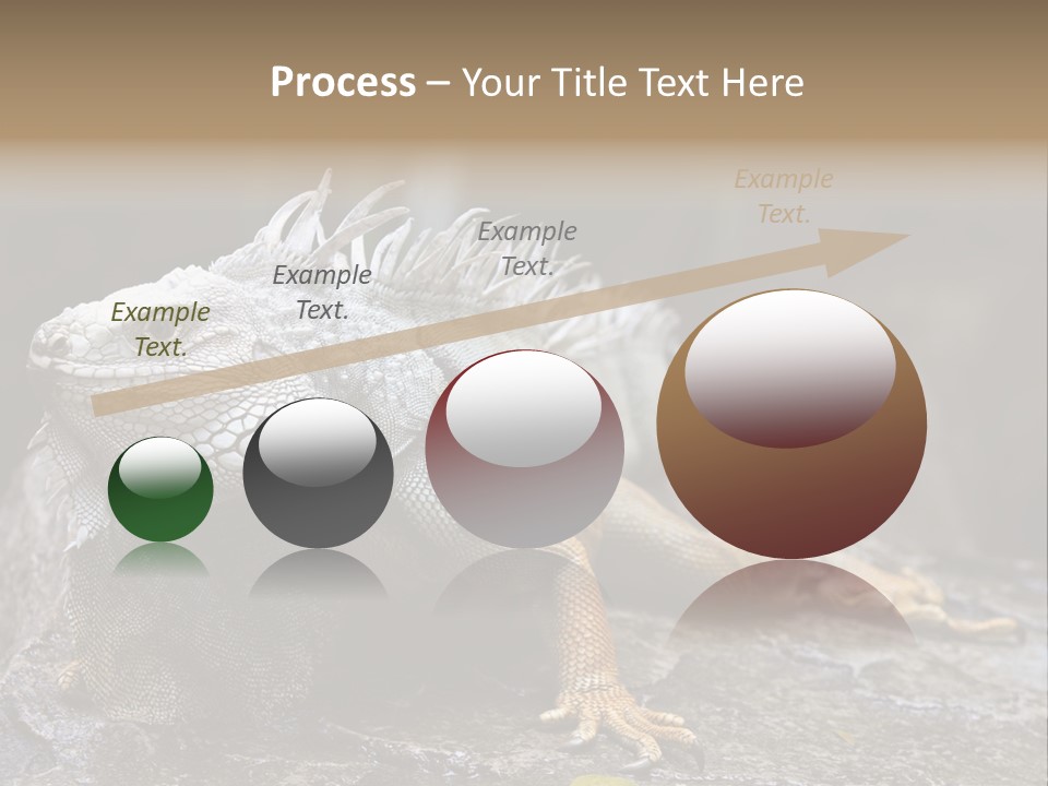 Amazing Profile Tree PowerPoint Template