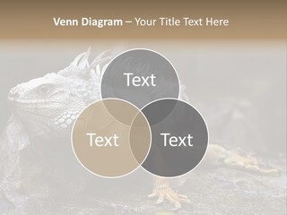 Amazing Profile Tree PowerPoint Template