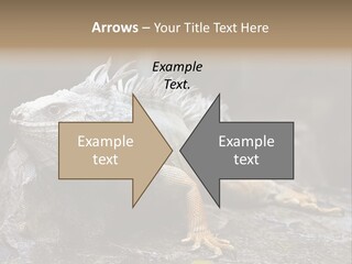 Amazing Profile Tree PowerPoint Template