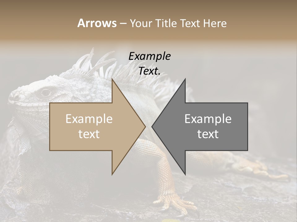 Amazing Profile Tree PowerPoint Template