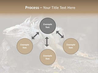 Amazing Profile Tree PowerPoint Template