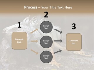 Amazing Profile Tree PowerPoint Template