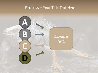 Amazing Profile Tree PowerPoint Template