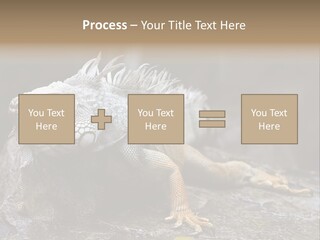 Amazing Profile Tree PowerPoint Template
