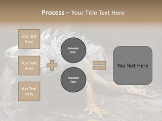 Amazing Profile Tree PowerPoint Template