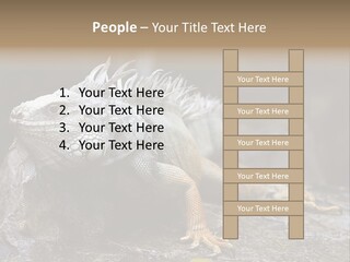 Amazing Profile Tree PowerPoint Template