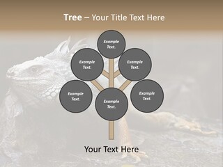 Amazing Profile Tree PowerPoint Template