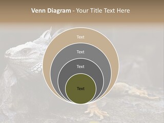 Amazing Profile Tree PowerPoint Template