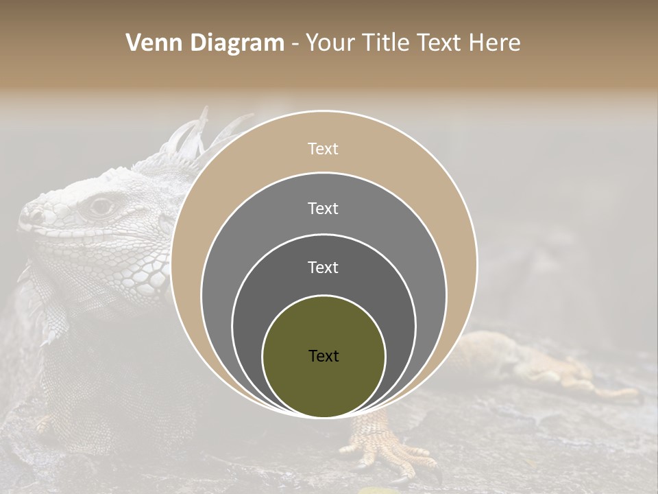 Amazing Profile Tree PowerPoint Template