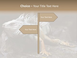Amazing Profile Tree PowerPoint Template