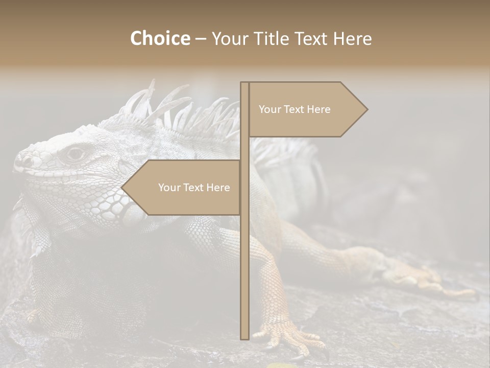 Amazing Profile Tree PowerPoint Template