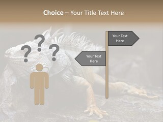 Amazing Profile Tree PowerPoint Template