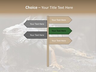 Amazing Profile Tree PowerPoint Template
