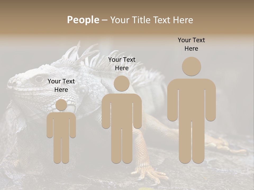 Amazing Profile Tree PowerPoint Template