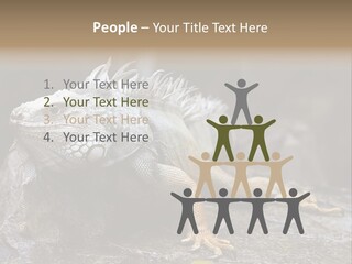 Amazing Profile Tree PowerPoint Template