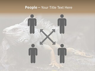 Amazing Profile Tree PowerPoint Template