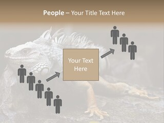 Amazing Profile Tree PowerPoint Template