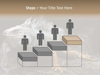 Amazing Profile Tree PowerPoint Template