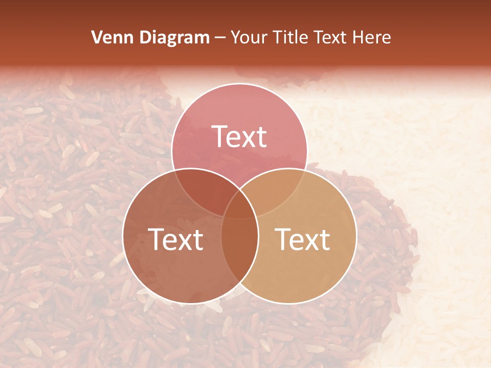 Food Object Meal PowerPoint Template