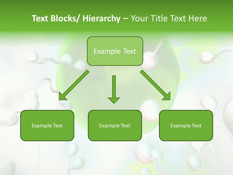 System Fertility Green PowerPoint Template