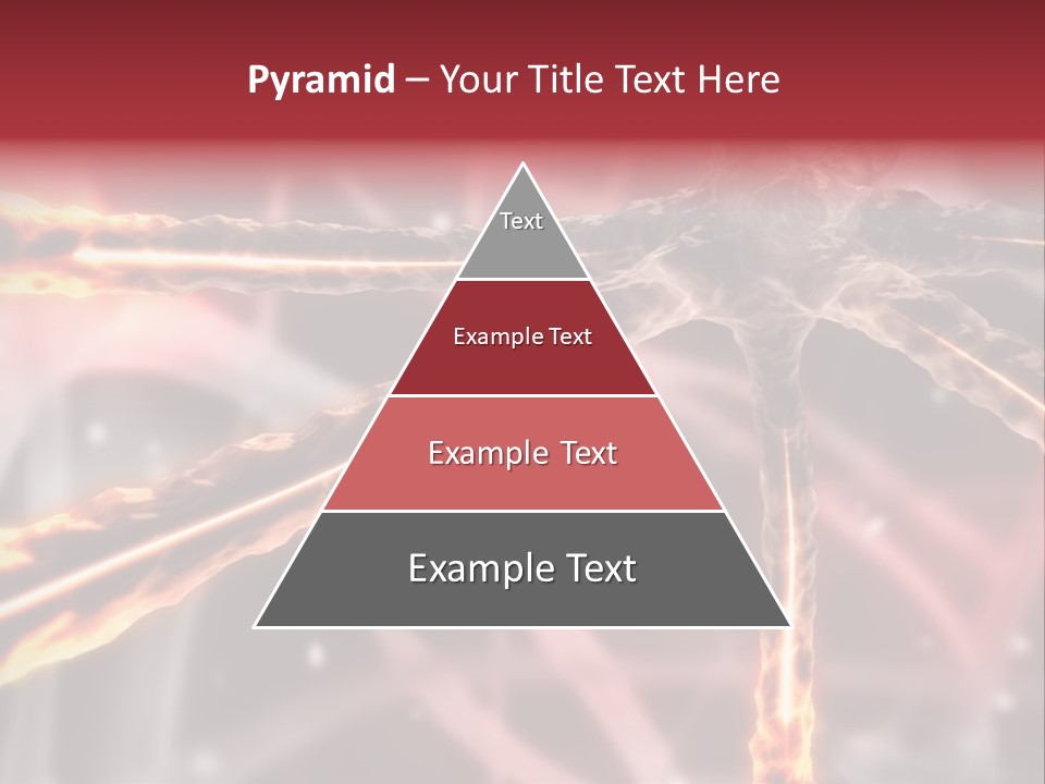 Stem Spiral Biology PowerPoint Template