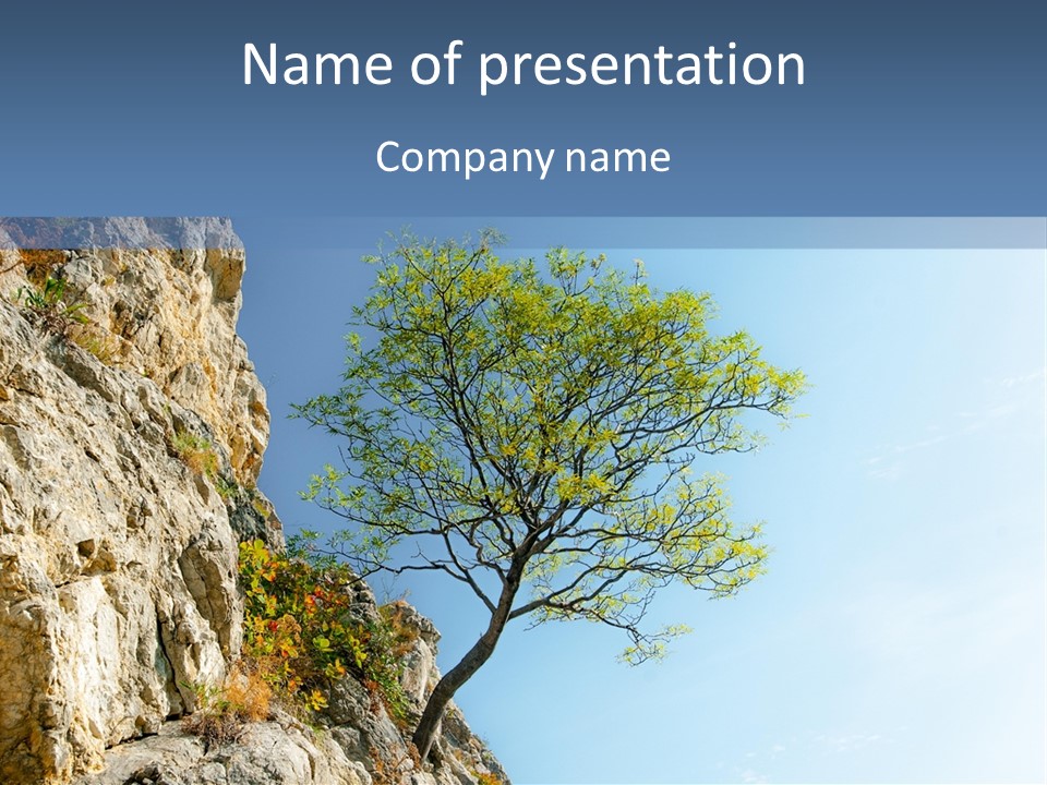 A Tree On A Cliff With A Blue Sky In The Background PowerPoint Template