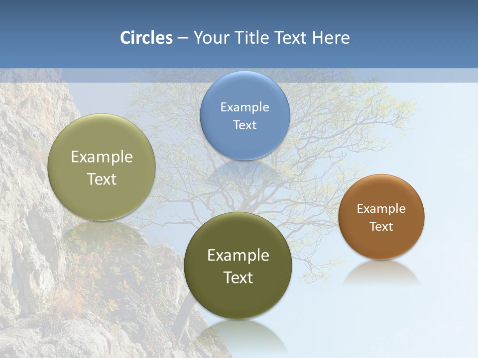 A Tree On A Cliff With A Blue Sky In The Background PowerPoint Template