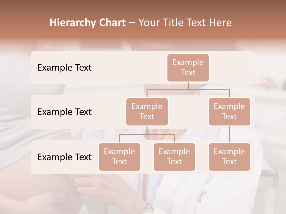 Belly Female Gynecology PowerPoint Template