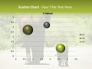 Baby Parent South Africa PowerPoint Template