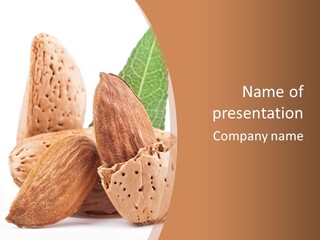 Healthy Kernel Nutshell PowerPoint Template