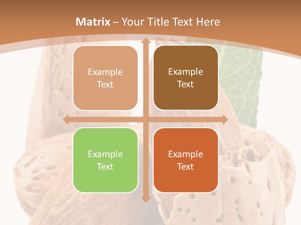 Healthy Kernel Nutshell PowerPoint Template