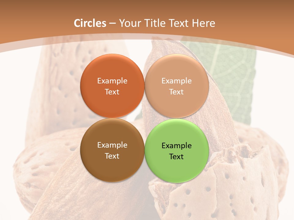 Healthy Kernel Nutshell PowerPoint Template