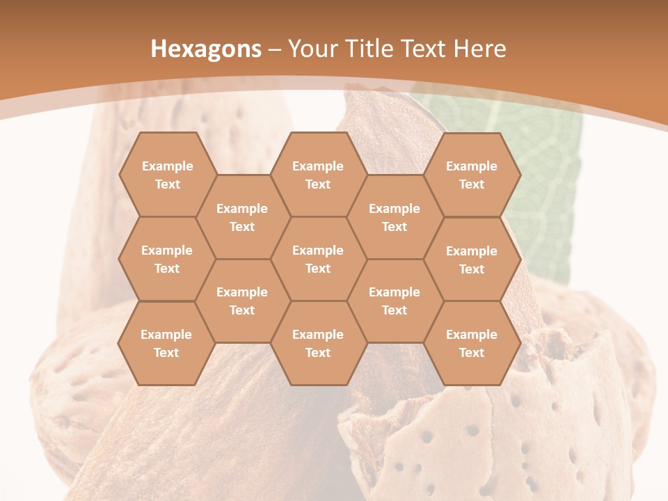 Healthy Kernel Nutshell PowerPoint Template